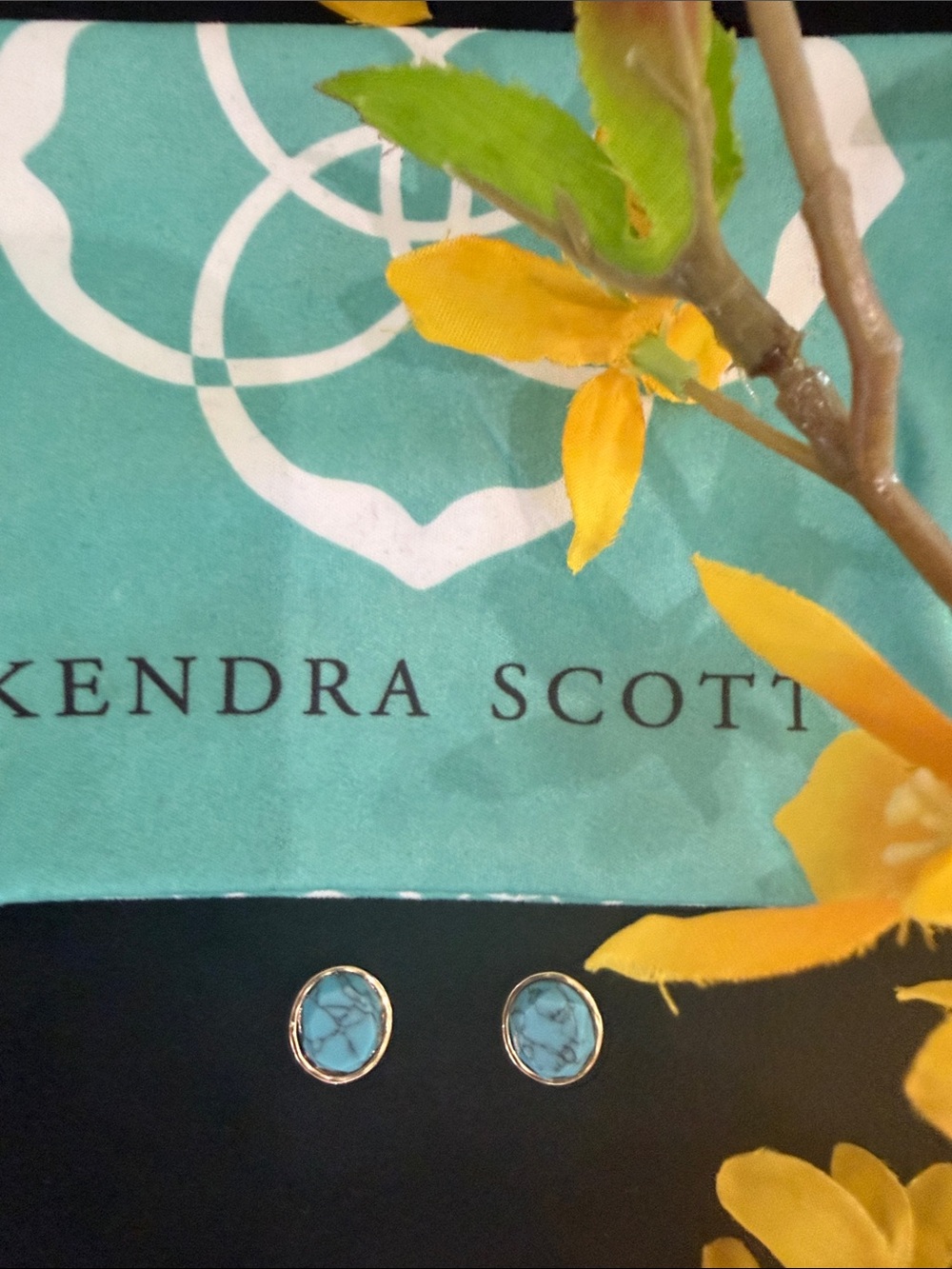 Kendra Scott Turquoise Blue Stone Stud Earrings